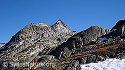 F051428: Gerstenhorn