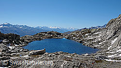 F051461: Bergsee und Walliser Alpen