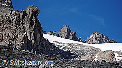 F051468: Felskopf am Gärstenhorn