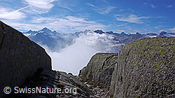 F051484: Östliche Berner Alpen mit Wolken