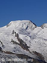 Foto: Potrait Alphubel