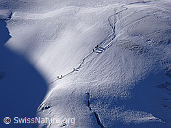 Foto: Alpinisten im Aufstieg zum Weissmies