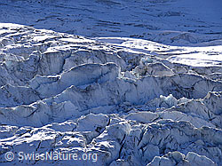 Foto: Gletscherabbruch mit Licht und Schatten