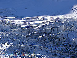F051647: Triftgletscher mit Gletscherabbruch
