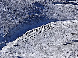 F051657: Menschen auf dem Gletscher