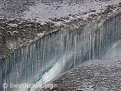 F052201: Eiszapfen in Spalte am Gletscherrand