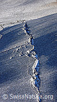 F052282: Riss im Gletscherschliff