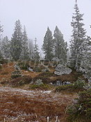 F052549: Geheimnisvolle Stimmung