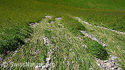 F053083: Unwetterschaden