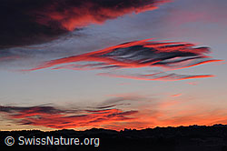 F054311: Wolkenfelder in kräftigem Morgenrot