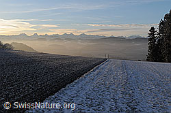F054328: Acker mit Raureif im Morgenlicht