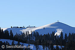 F054475: Winterbild: Bauernhof und Hügel mit Baum