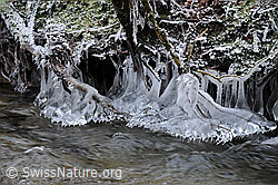 F054572: Eisskulptur (Eisbirne) am Bachufer