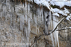 F054642: Eiszapfen und Nagelfluh