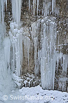 F054672: Eiskaskaden an Nagelfluhwand