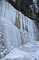 F054678: Eisfall im Wald
