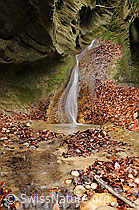 F054721: Wasserfall und Bachbett in Schlucht