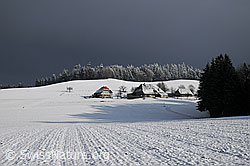 F054764: Schneefläche, Bauernhof und Winterwald