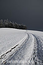 F054769: Feldweg in Winterlandschaft