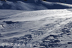 F055543: Wind, Schnee und Spur