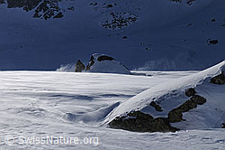 F055563: Schneeverfrachtung und Felsblöcke