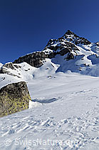 F055575: Felsblock und Ofenhorn