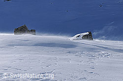 F055580: Felsblöcke in Schneefläche bei Föhnsturm