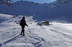 F055585: Schneeschuhläuferin unterwegs im Föhnsturm