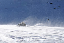 F055587: Felsblock im Sturmwind