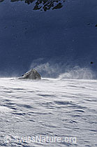 F055589: Felsblock im Föhnsturm