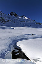 F055591: Schneeverwehung an Bergbach