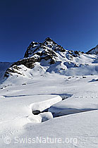 F055601: Berg und zugeschneiter Bach