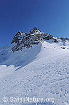 F055630: Schneefläche und Ofenhorn