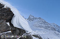 F055669: Wächte an Felsvorsprung