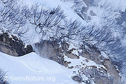 F055694: Schneeverfrachtung