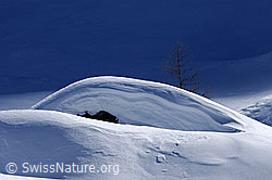 F056072: Schneeverwehung