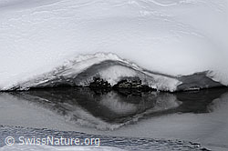 F056083: Spiegelung am Ufer