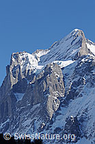 Foto: Scheideggwetterhorn und Wetterhorn
