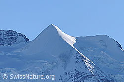 Foto: Silberhorn und Goldenhorn