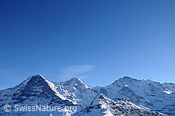 F056272: Dreigestirn Eiger, Mönch und Jungfrau