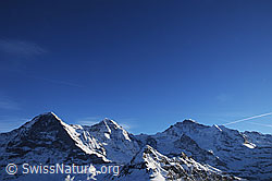 F056325: Dreigestirn Eiger, Mönch und Jungfrau
