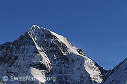 F056354: Mönch im Abendlicht