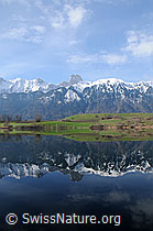 F056557: Spiegelbild Stockhorn