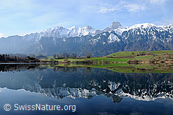 F056559: Spiegelung der Stockhornkette