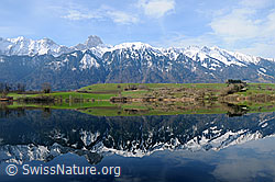 F056560: Bergkette mit Spiegelung im See