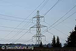 F056665: Hochspannungsleitungen