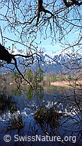 F056859: Amsoldingersee