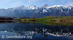 F056860: Spiegelung der Berner Voralpen im See