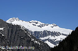 F057160: Rorspitzli und Rorfirn