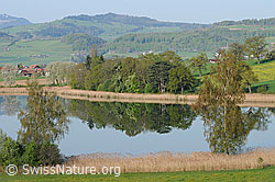 F057231: Klare Spiegelung im See